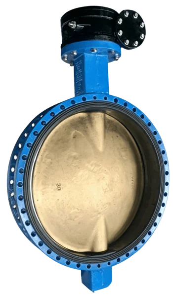 U-Type Flanged Butterfly Valve 1