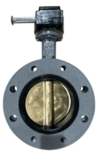 U-Type Flanged Butterfly Valve 2