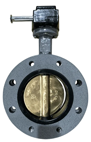 U-Type Flanged Butterfly Valve 2 butterfly valve industrial valve