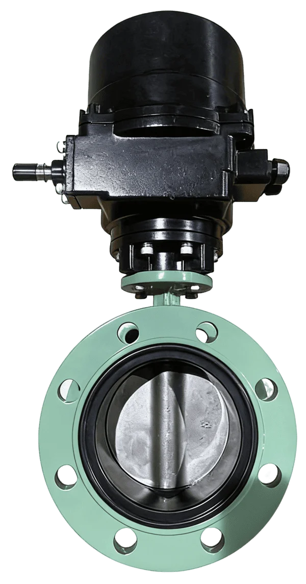 Electric Flanged Butterfly Valve 2