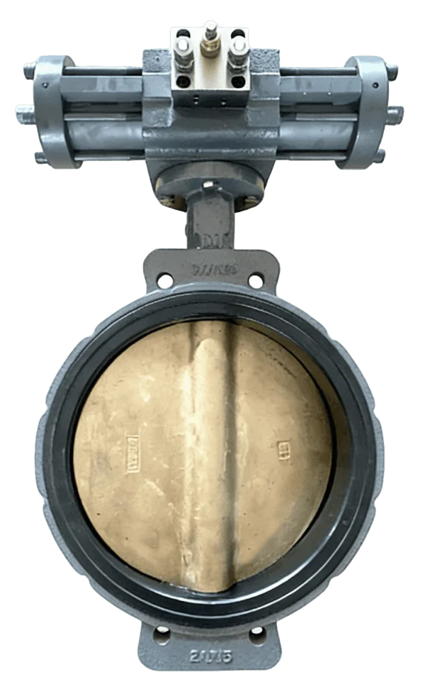 Hydraulic Marine Centerline Butterfly Valve 2