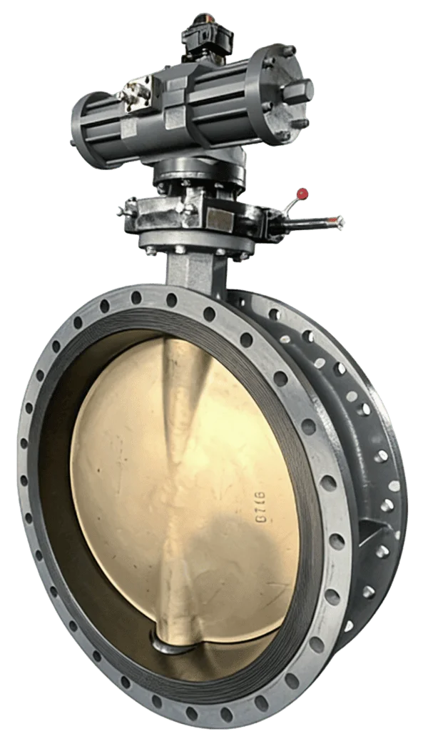 Pneumatic Flanged Butterfly Valve 2