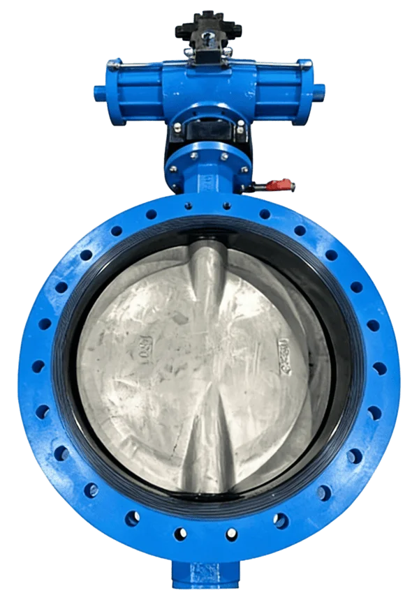Marine Flanged Butterfly Valve | industrial valve category