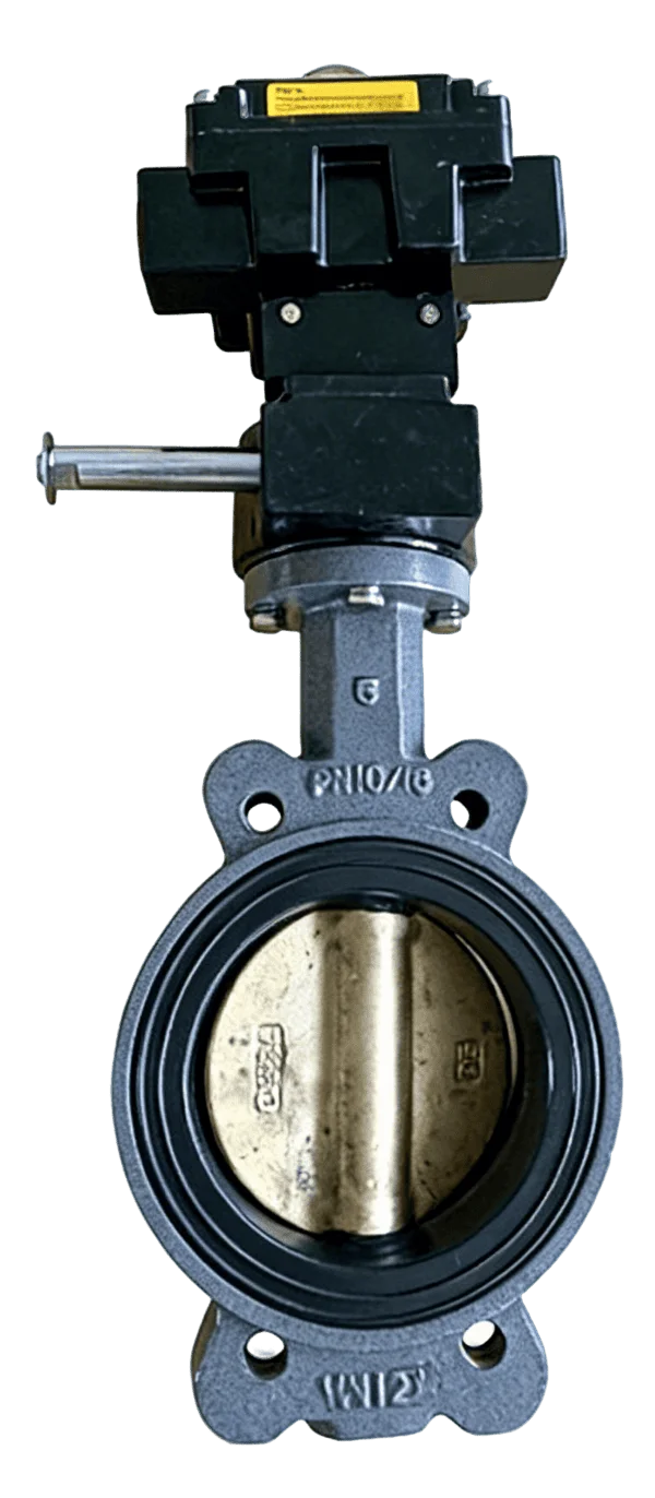 Marine Centerline Wafer Butterfly Valve 5
