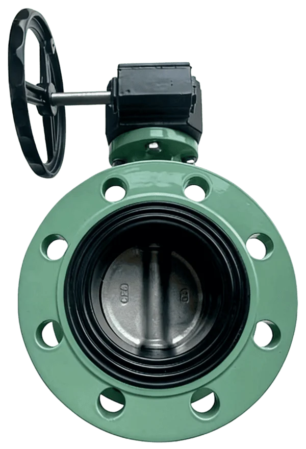 Marine Centerline Flanged Butterfly Valve 1
