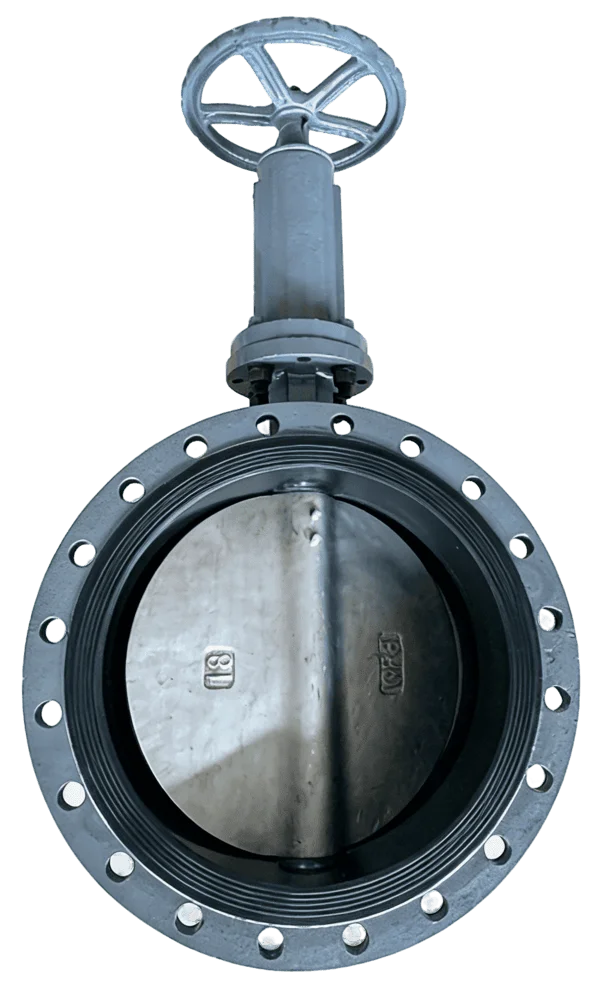 Marine Centerline Flanged Butterfly Valve 2