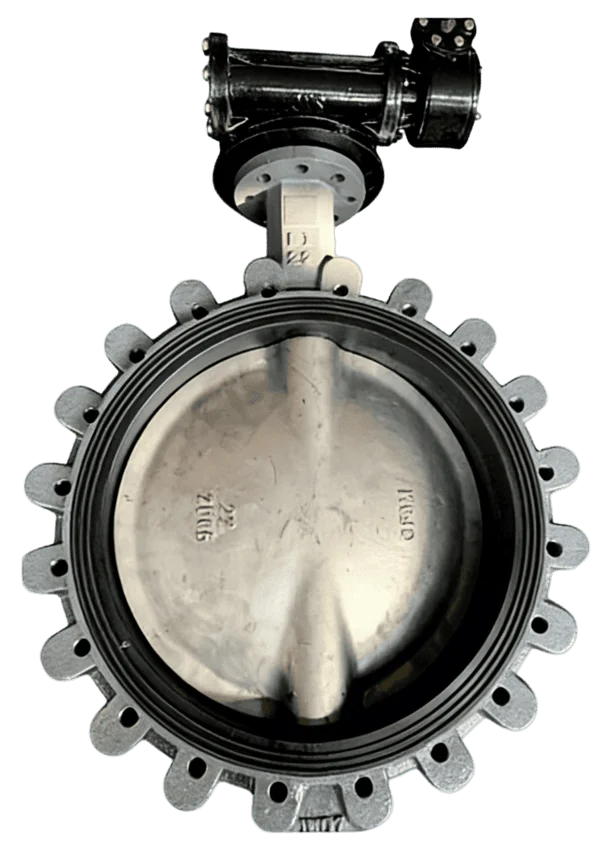 Marine Full Lug Centerline Butterfly Valve 6