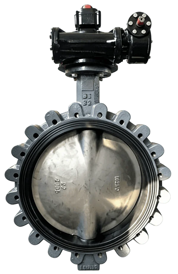 Marine Full Lug Centerline Butterfly Valve 1