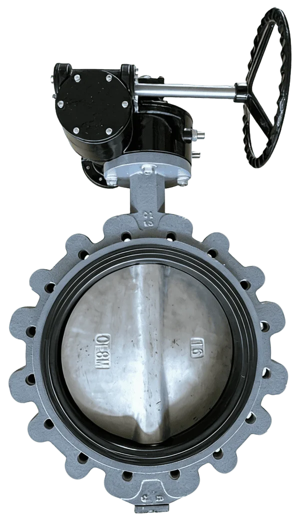 Marine Full Lug Centerline Butterfly Valve 3