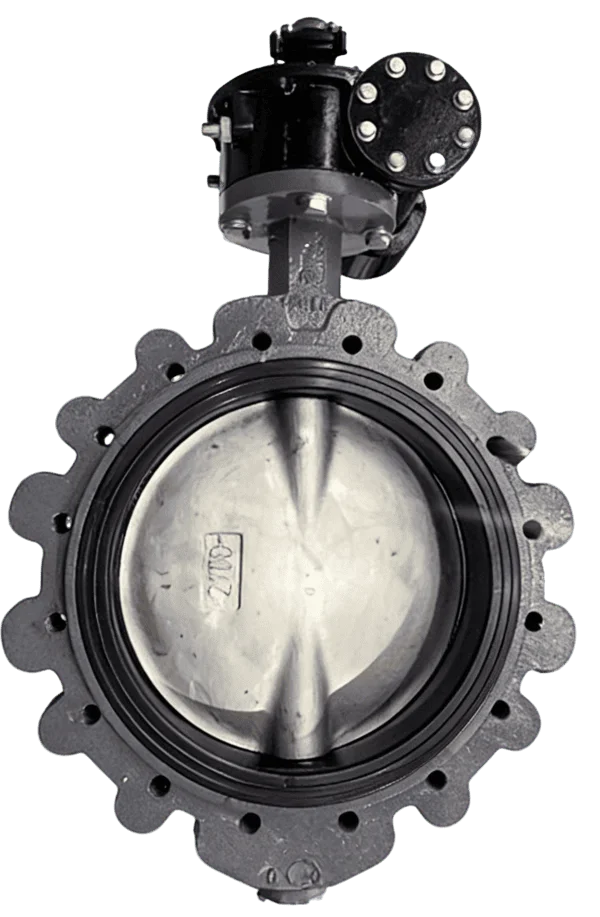 Marine Full Lug Centerline Butterfly Valve 2