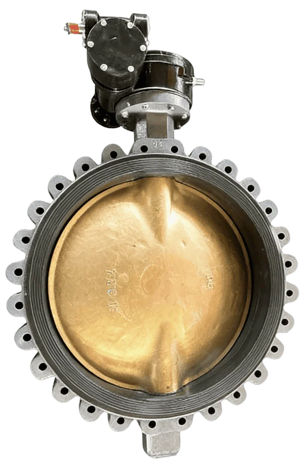 Soft Back Seat Wafer Butterfly Valve | industrial valve category