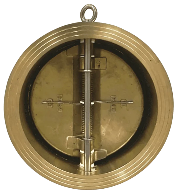 Dual Plate Wafer Check Valve 1