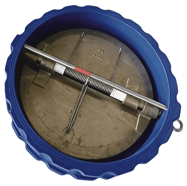 Dual Plate Wafer Check Valve 2